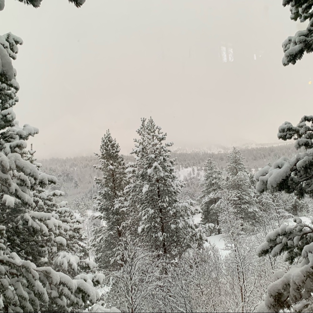 Meet your Posher, Joy